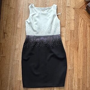 Calvin Klein Black and White Dress